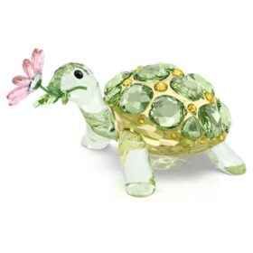 Idyllia : tortue et marguerite