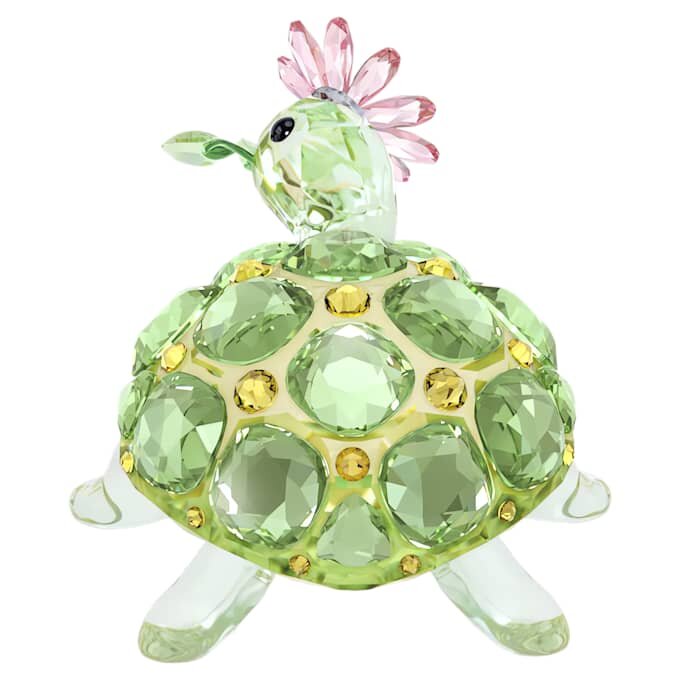 Idyllia : tortue et marguerite Idyllia : tortue et marguerite