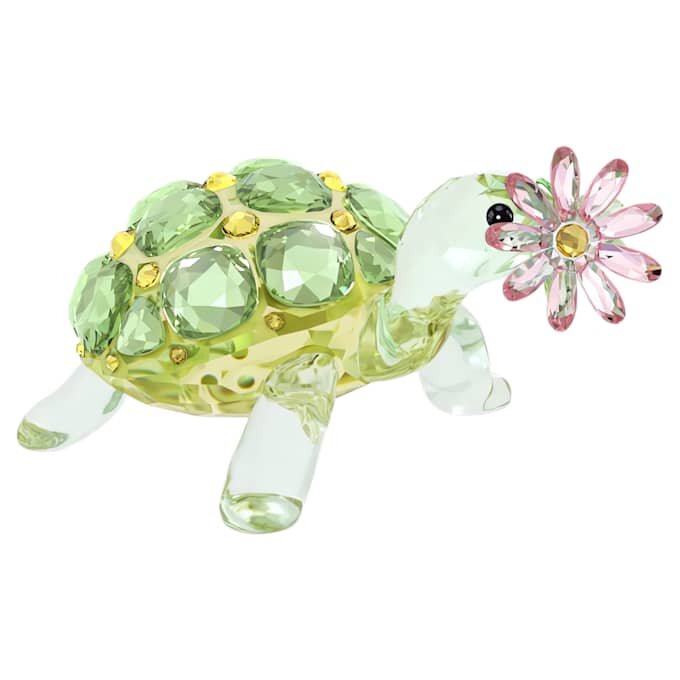 Idyllia : tortue et marguerite Idyllia : tortue et marguerite