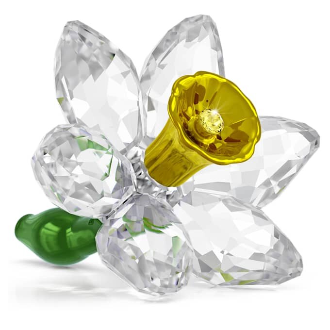 Jonquille Florere Jonquille Florere