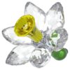 Jonquille Florere Jonquille Florere