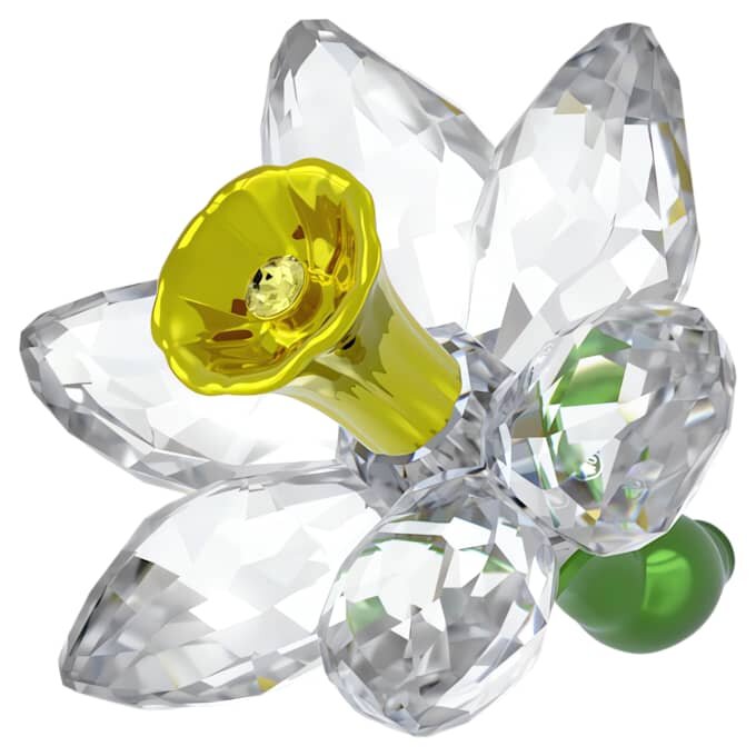 Jonquille Florere Jonquille Florere