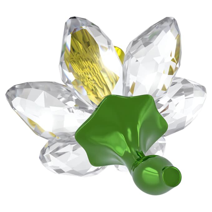 Jonquille Florere Jonquille Florere