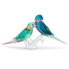 Jungle Beats : Couple de perruches « Fife & Fifer » Jungle Beats : Couple de perruches « Fife & Fifer »