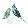 Jungle Beats : Couple de perruches « Fife & Fifer » Jungle Beats : Couple de perruches « Fife & Fifer »