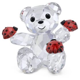 Kris Bear, l’ours porte-bonheur