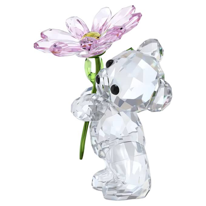 Kris Bear : une marguerite pour toi Kris Bear : une marguerite pour toi
