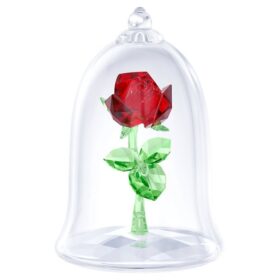 La rose enchantée