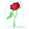 La rose enchantée La rose enchantée