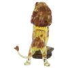 Le Roi Lion – Mufasa Le Roi Lion – Mufasa