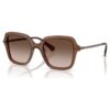 Lunettes de soleil de forme carrée, marron Lunettes de soleil de forme carrée, marron