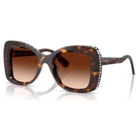 Lunettes de soleil en forme de papillon, Sk6062U, marron Lunettes de soleil en forme de papillon, Sk6062U, marron
