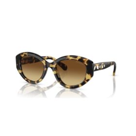 Lunettes de soleil forme œil de chat, Sk6008, marron