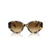 Lunettes de soleil forme œil de chat, Sk6008, marron
