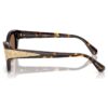 Lunettes de soleil forme œil de chat, Sk6029, marron