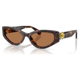 Lunettes de soleil forme œil de chat, Sk6045, marron