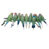 Myriade de diamants de cristal : les diamants de Gould Myriade de diamants de cristal : les diamants de Gould