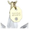 Ornement 3D Édition annuelle 2025 Ornement 3D Édition annuelle 2025