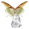 Papillon Idyllia Papillon Idyllia