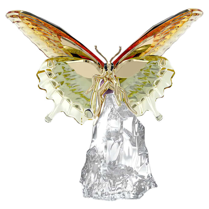 Papillon Idyllia Papillon Idyllia