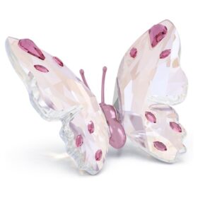 Petit papillon Idyllia