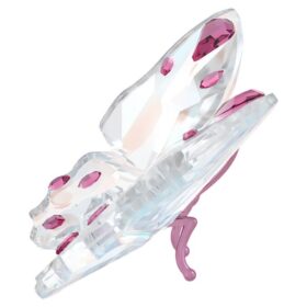 Petit papillon Idyllia