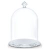Petite cloche de vitrine Petite cloche de vitrine