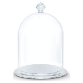 Petite cloche de vitrine