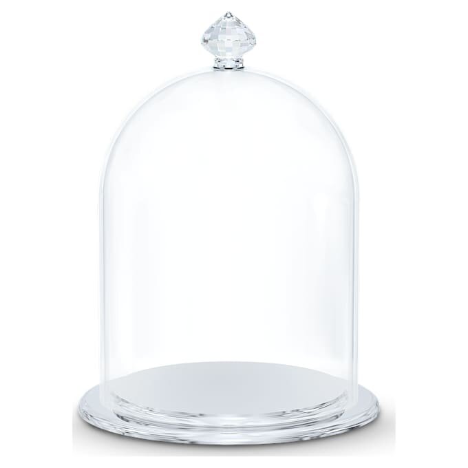 Petite cloche de vitrine Petite cloche de vitrine