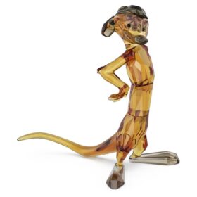 Timon du Roi Lion